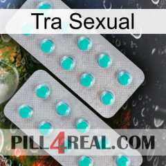 Sex Tra 29